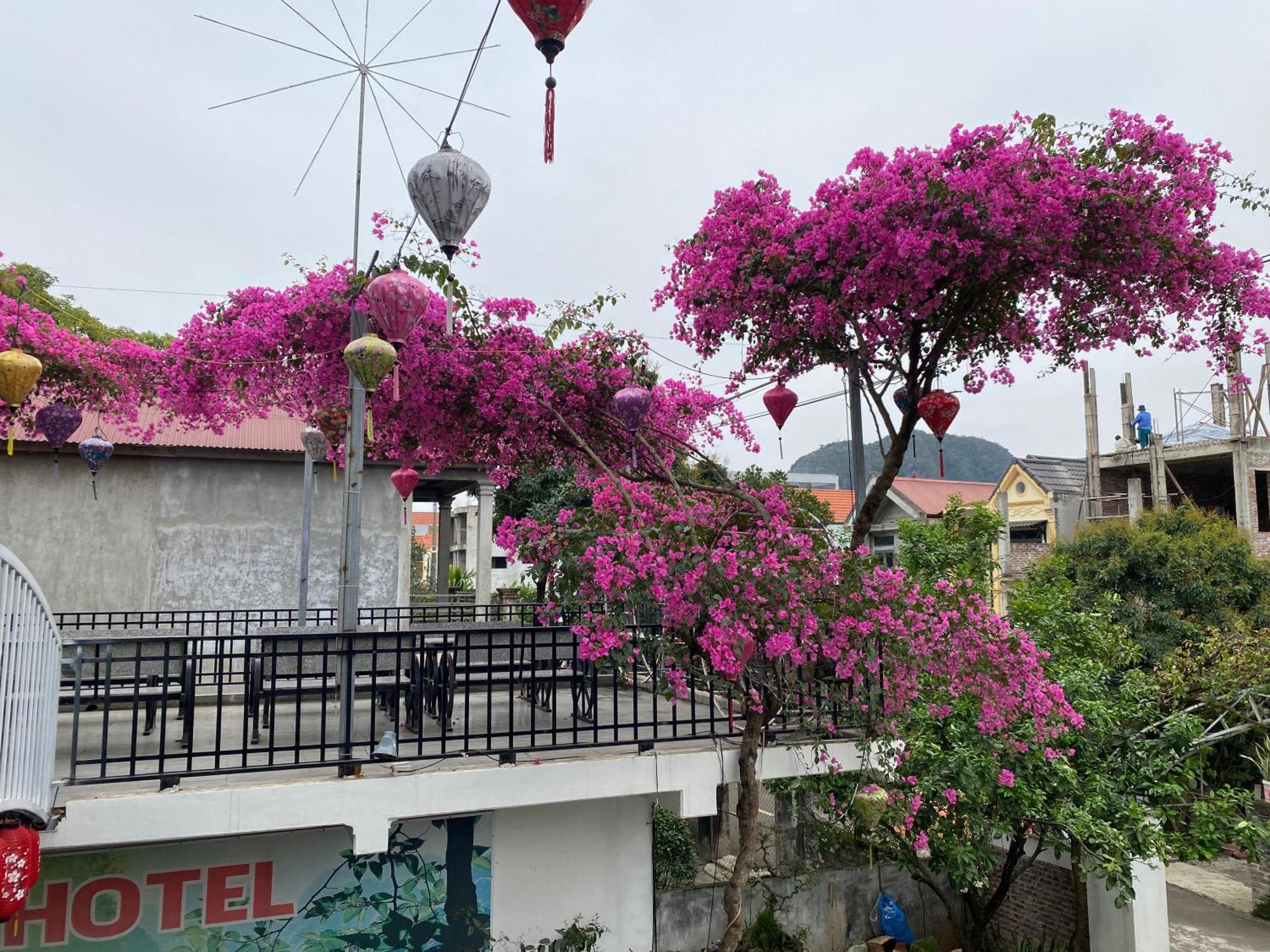 Elizabeth Hotel Tam Coc Ninh Binh Luaran gambar